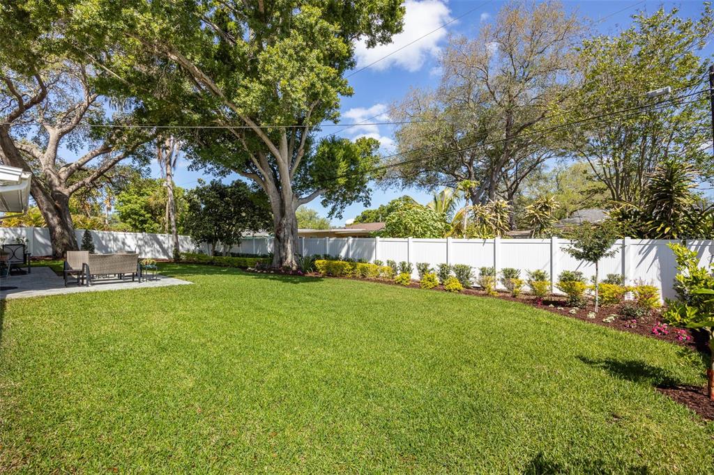 1218 Taylor Avenue Dunedin, FL 34698 - Photo 50 of 53 a view of yard with tree and green space