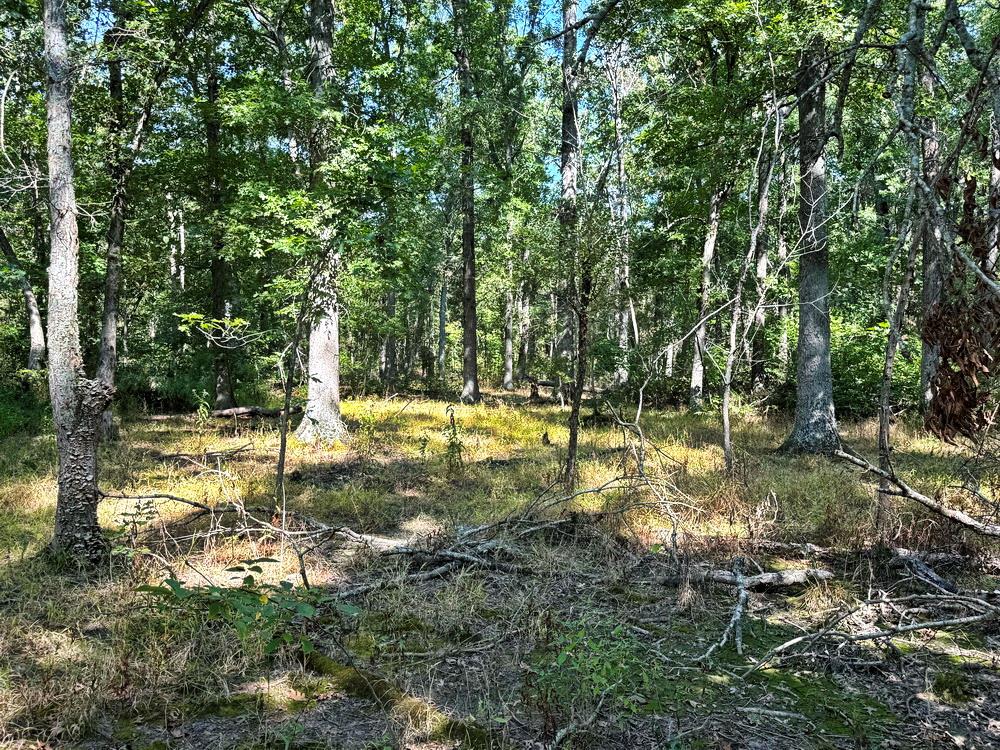 Tbd Southwest Tbd Sw 778th Road Osceola, MO 64776 - Photo 29 of 41 Gallery Image 29