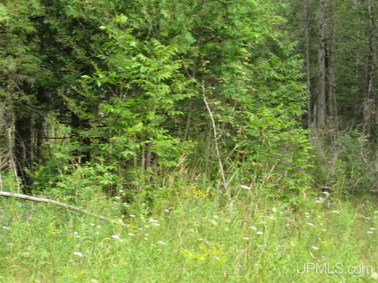 M69 And Shiversky Road Perronville, MI 49873 - Photo 4 of 16
