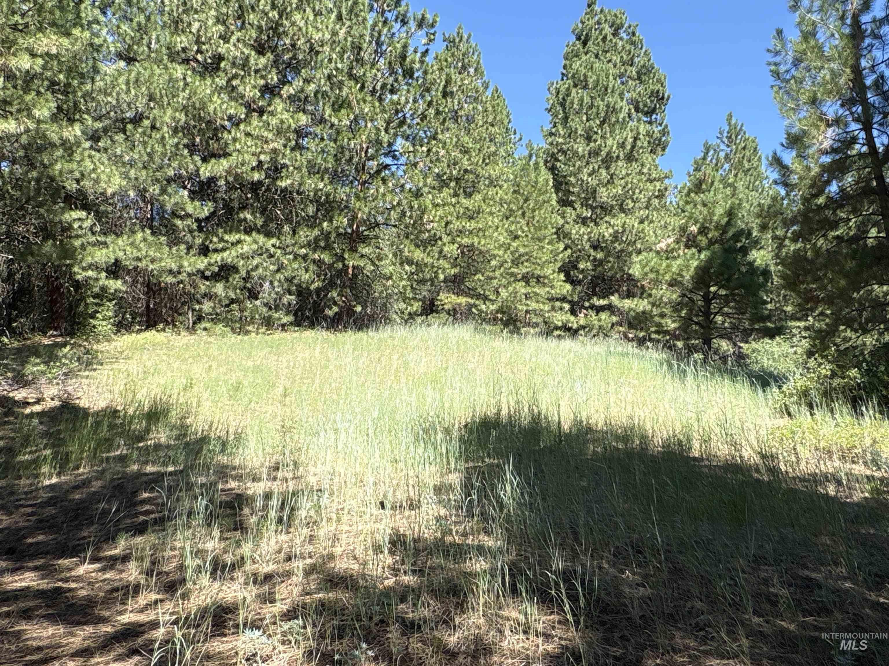 Tbd Smith Creek Road Mountain Home, ID 83647 - Photo 16 of 19