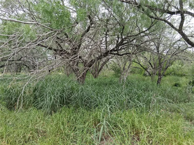 $70,000 | 0 Swinney Switch Shores Road, Mathis, TX 78368