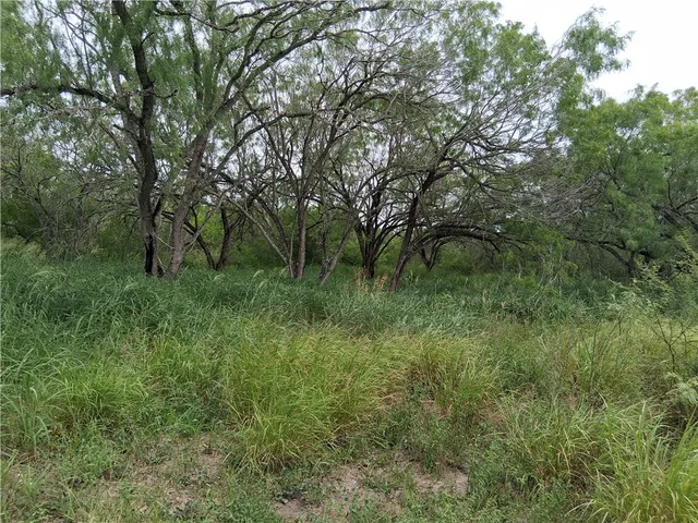 $70,000 | 0 Swinney Switch Shores Road, Mathis, TX 78368