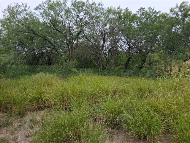 $70,000 | 0 Swinney Switch Shores Road, Mathis, TX 78368