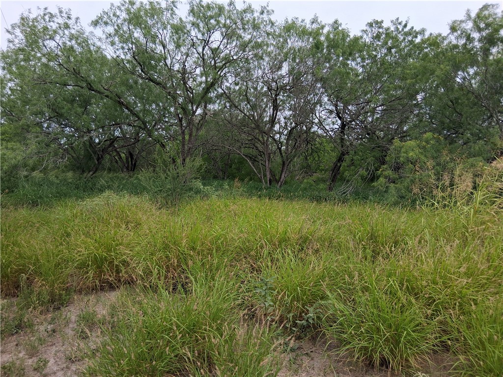 0 Swinney Switch Shores Road Mathis, TX 78368 - Photo 3 of 7