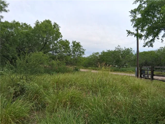 $70,000 | 0 Swinney Switch Shores Road, Mathis, TX 78368