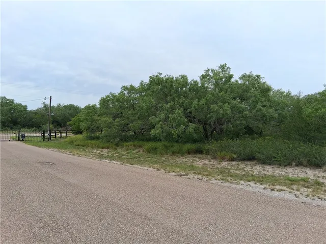 $70,000 | 0 Swinney Switch Shores Road, Mathis, TX 78368