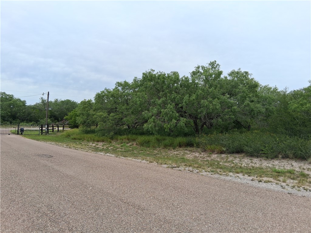 0 Swinney Switch Shores Road Mathis, TX 78368 - Photo 6 of 7