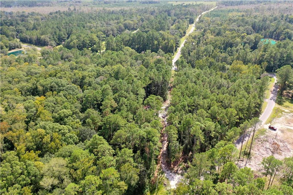 0 Simpson Road Kingsland, GA 31548 - Photo 1 of 1