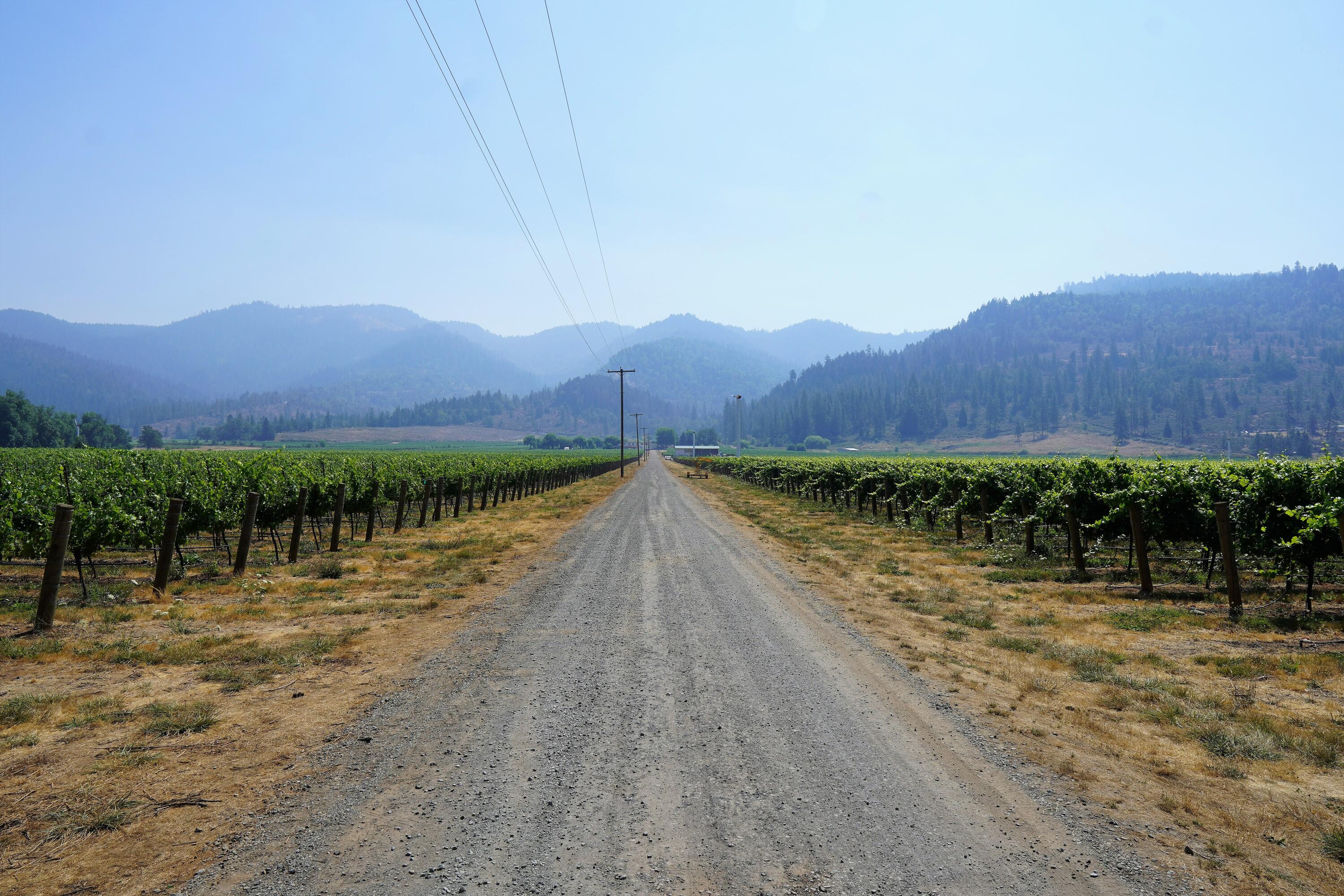 7821 Holland Loop Road Cave Junction, OR 97523 - Photo 7 of 41 Gallery Image 7