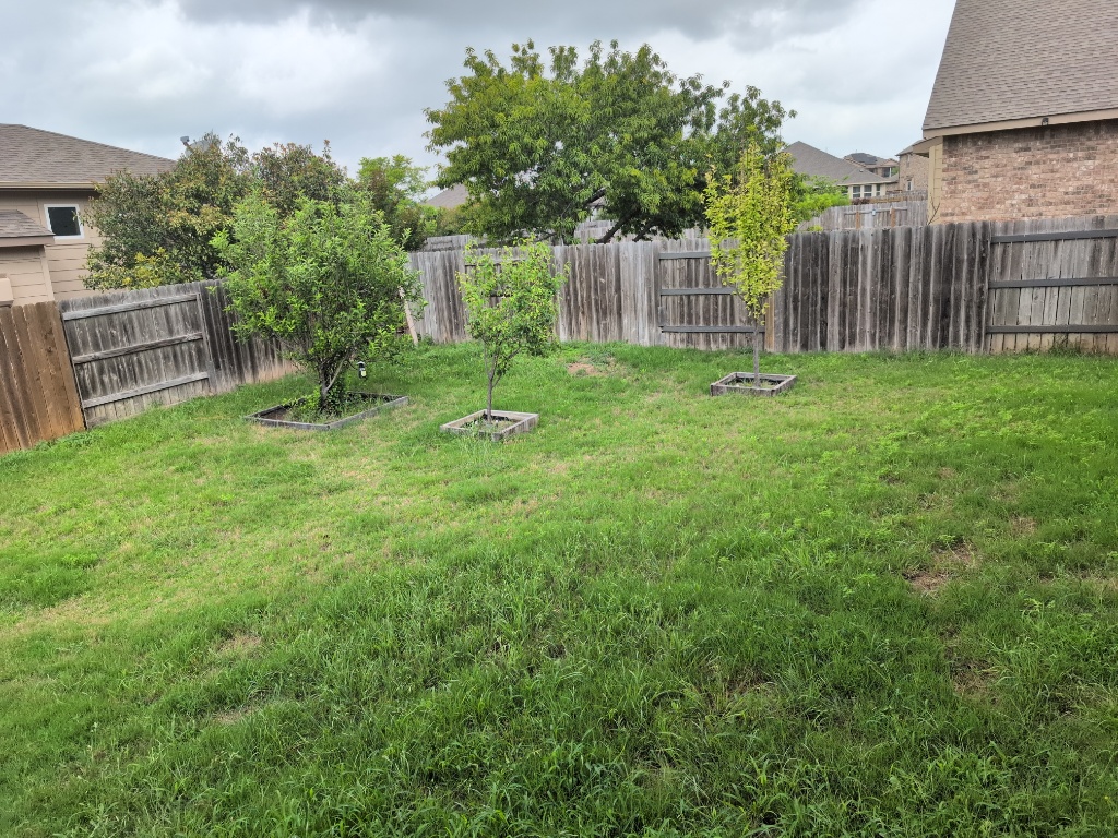 8528 Reggio Street Round Rock, TX 78665 - Photo 27 of 27 a view of a backyard with a small cabin and wooden fence
