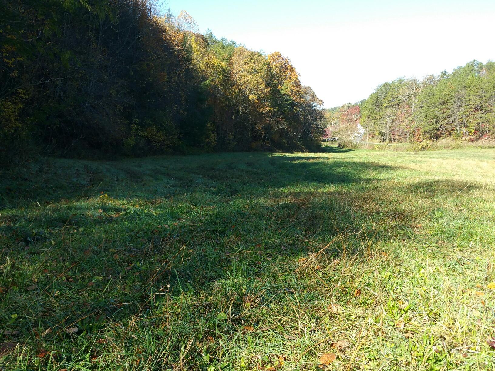 Tr4 Henry Town Road Sevierville, TN 37876 - Photo 2 of 6 tr4 henrytown 8