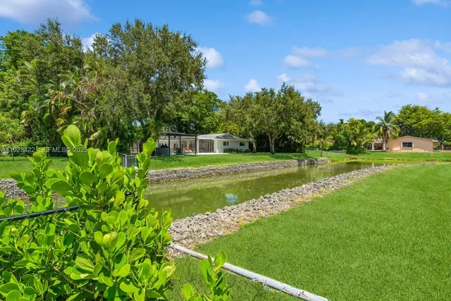 a view of a park with large trees