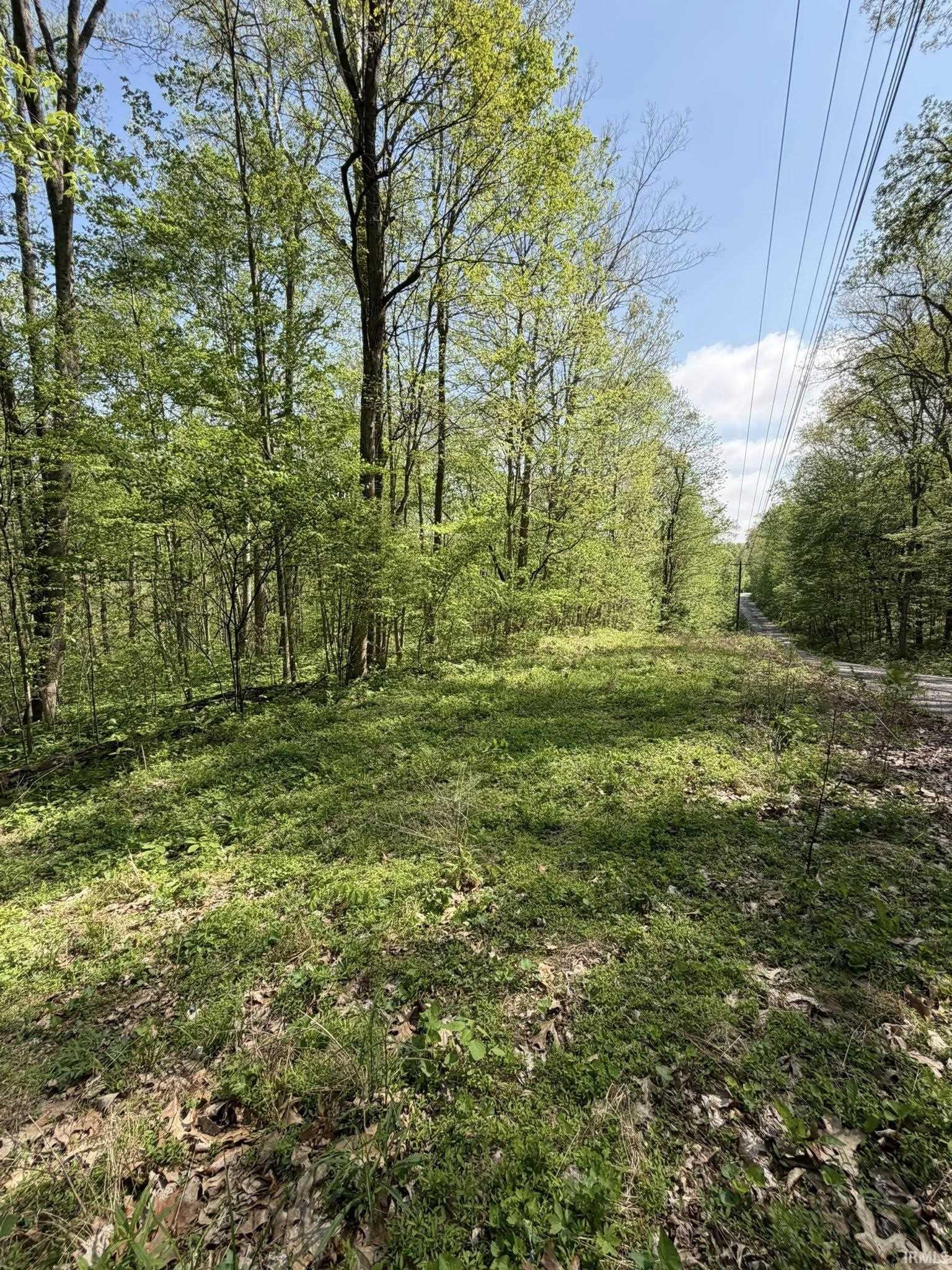 Tbd Coon Path Road Spencer, IN 47460 - Photo 5 of 34