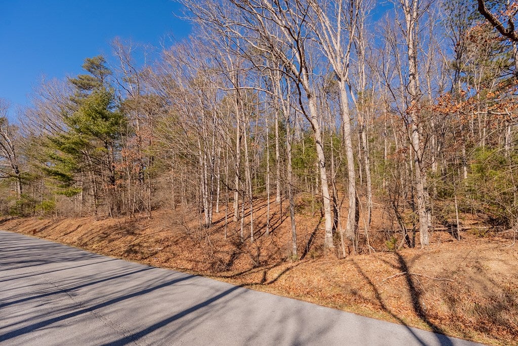 Tbd Kimberling Road, Unit 10A 10B2 Bland, VA 24315 - Photo 43 of 72 Gallery Image 43