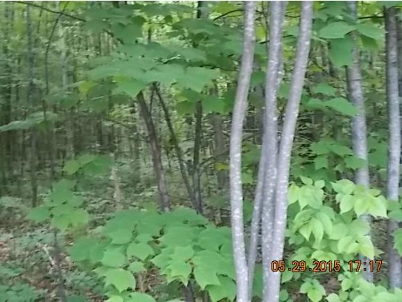 324 Center Road Charlestown, NH 03603 - Photo 29 of 33