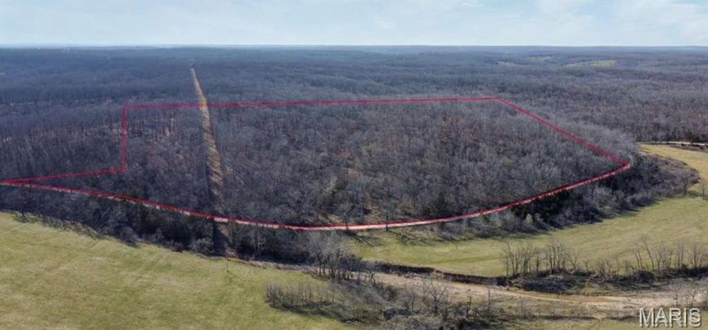 0 Red Wing Road Waynesville, MO 65583 - Photo 2 of 19 Gallery Image 2