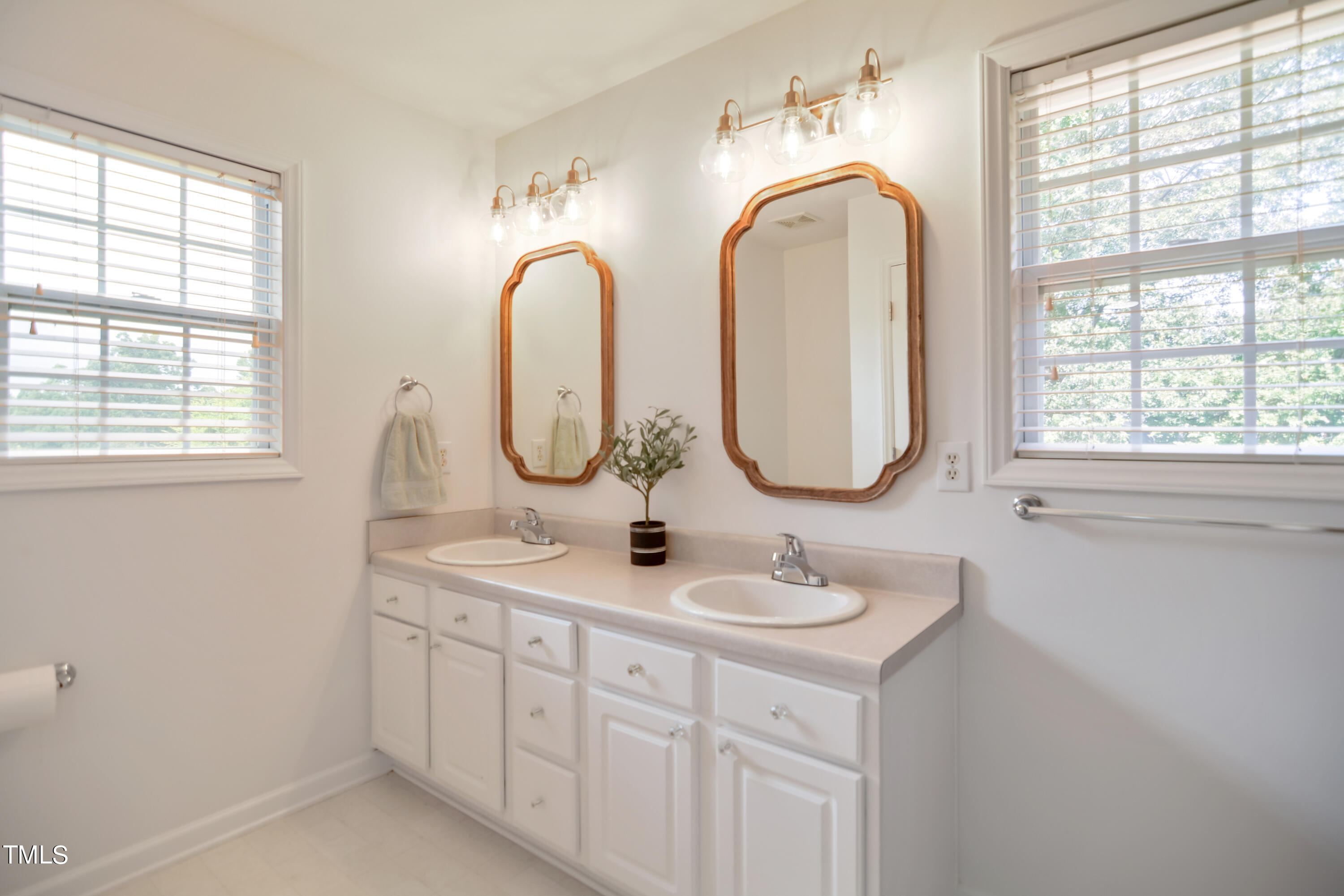 2515 Tryon Pines Drive Raleigh, NC 27603 - Photo 16 of 27 a bathroom with 2 sink and a mirror