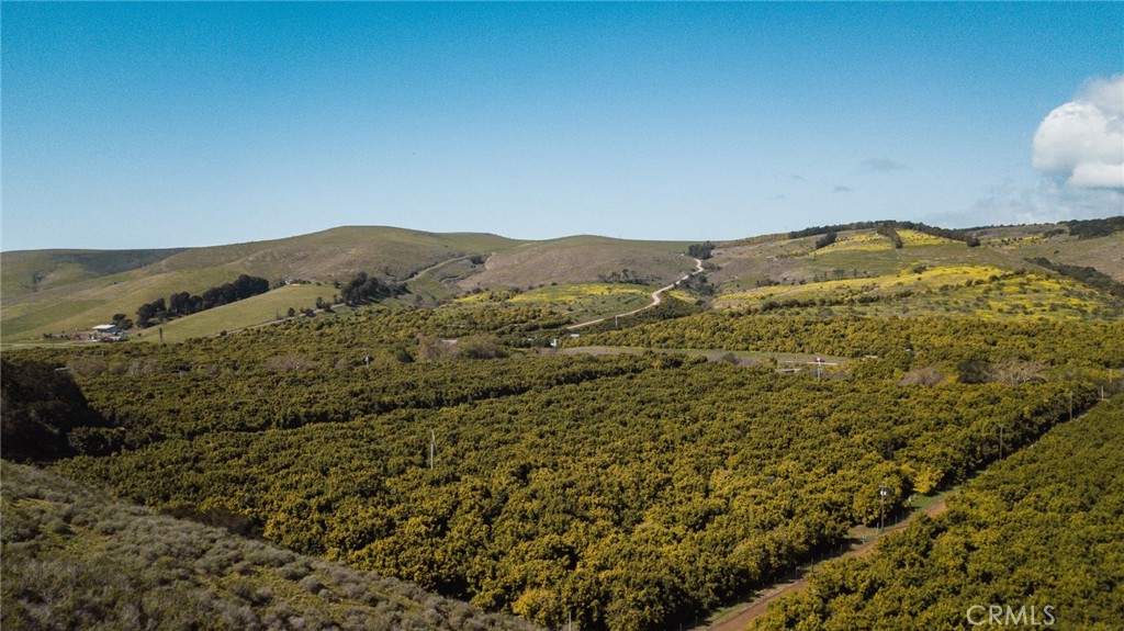 1800 Atascadero Road Morro Bay, CA 93442 - Photo 36 of 55 a view of a mountain range with lush green forest