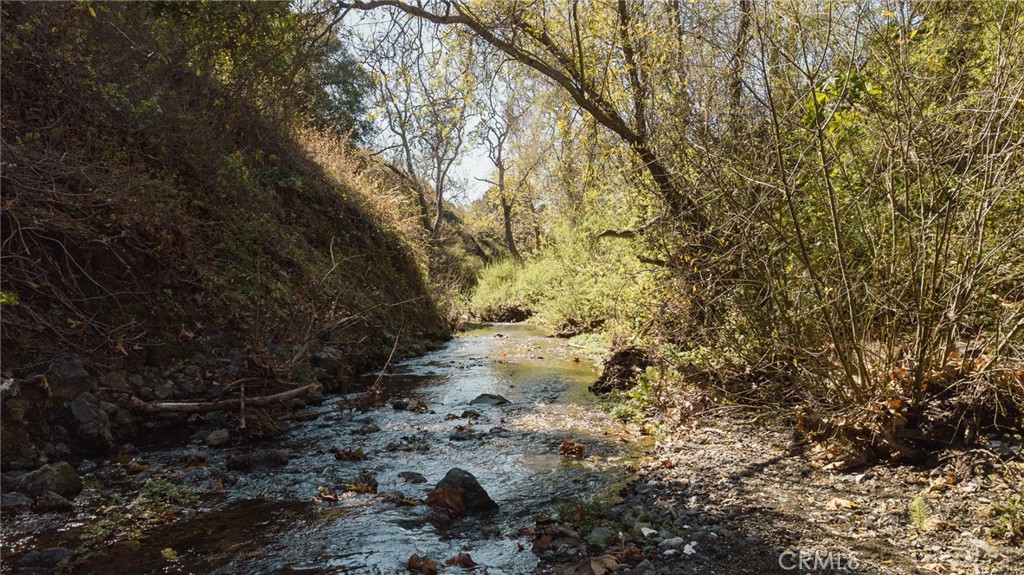 1800 Atascadero Road Morro Bay, CA 93442 - Photo 50 of 55 a view of a yard with plants and trees