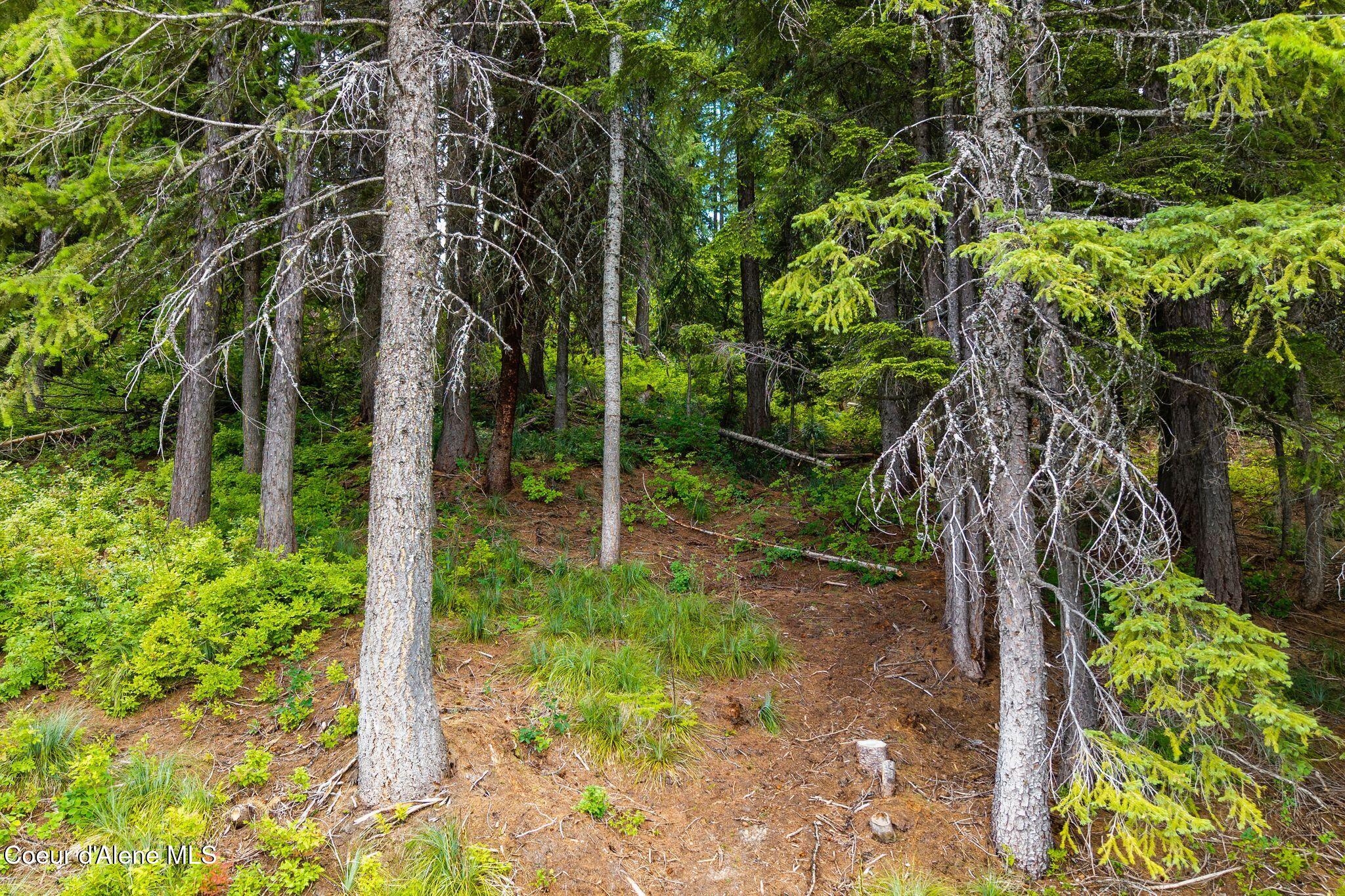 01 Mogul Hill Road Sandpoint, ID 83864 - Photo 8 of 26 6_DJI_20260703135024_0330_D