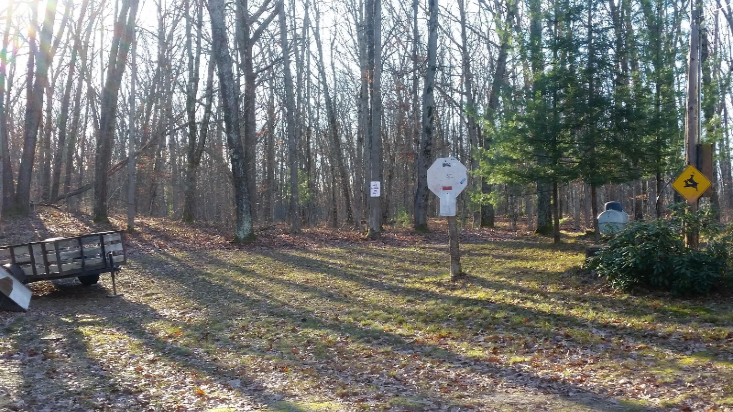 8155 South Evergreen Road Branch, MI 49402 - Photo 4 of 9 20151128_145813