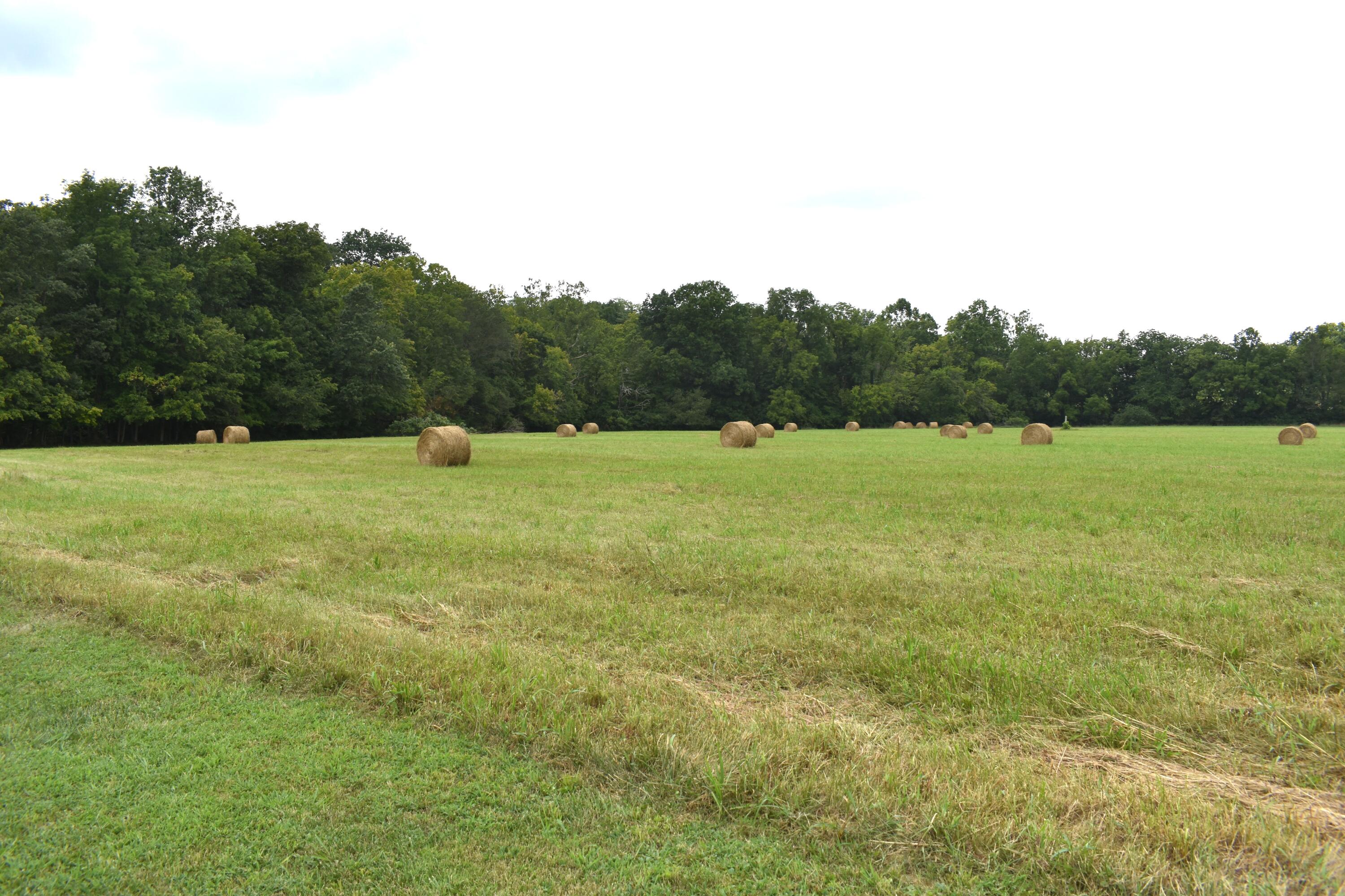 5591 Tates Creek Road Nicholasville, KY 40356 - Photo 12 of 69 DSC_0608