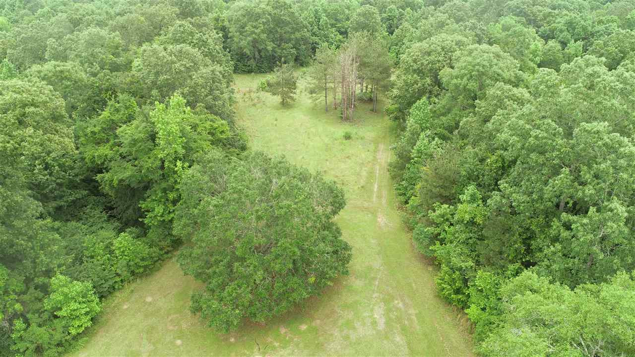 0 Canada Cross Road Edwards, MS 39066 - Photo 15 of 15 Photo 15