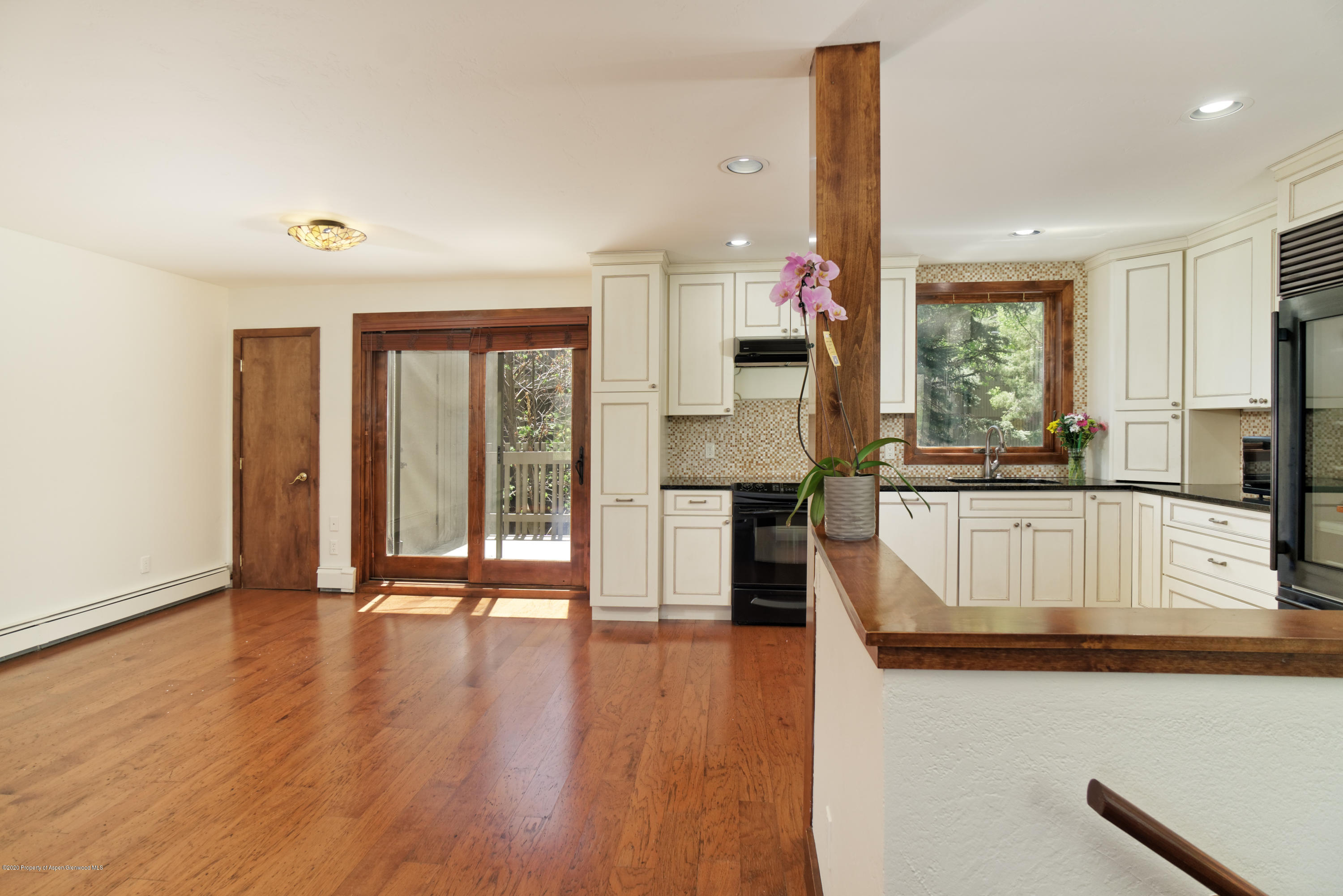 201 Meadow Ranch Road, Unit D6 Snowmass Village, CO 81615 - Photo 3 of 20 201MeadowRanchDr_HiRes_052120_10