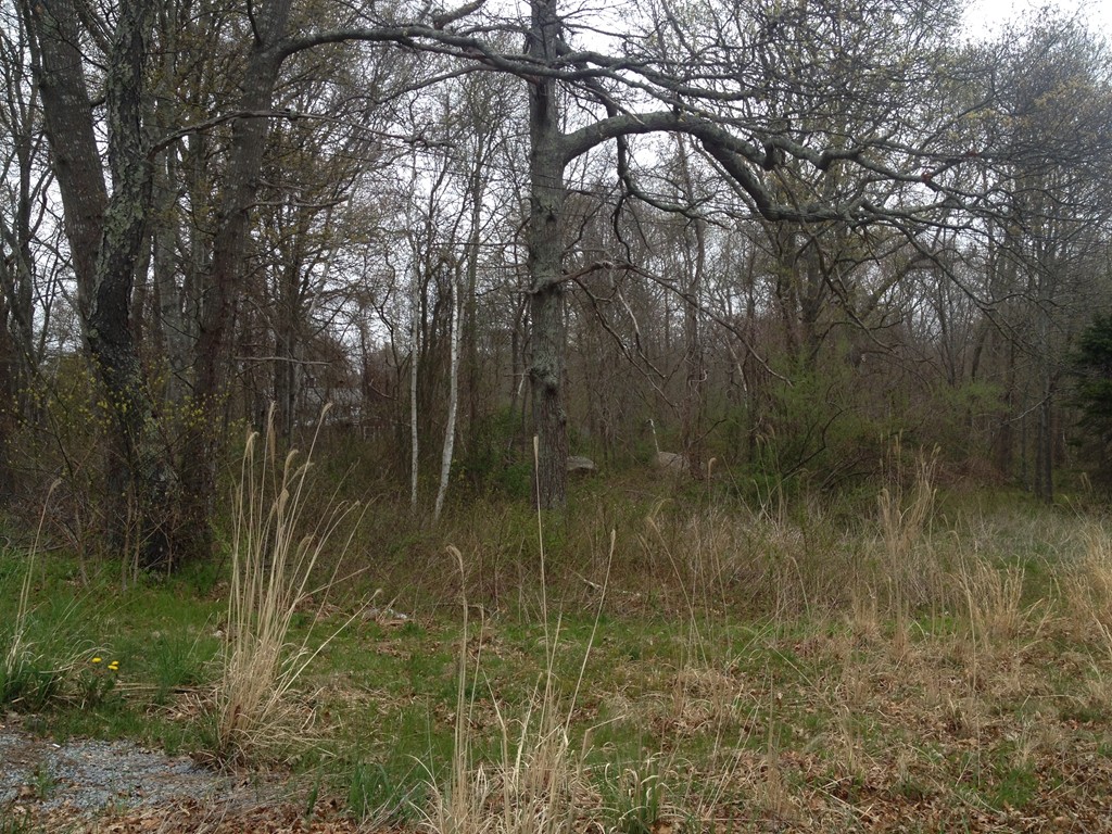 152 Brayton Road Tiverton, RI 02878 - Photo 2 of 2 a view of a lake view