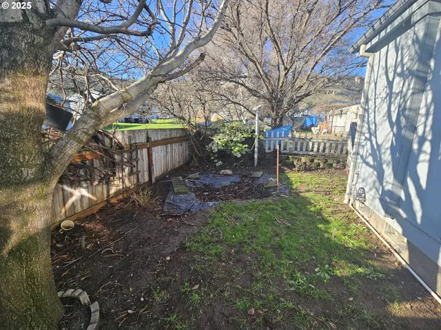 a view of a yard with plants and large trees