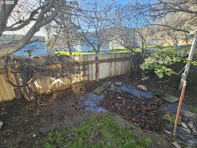 a view of backyard with tree