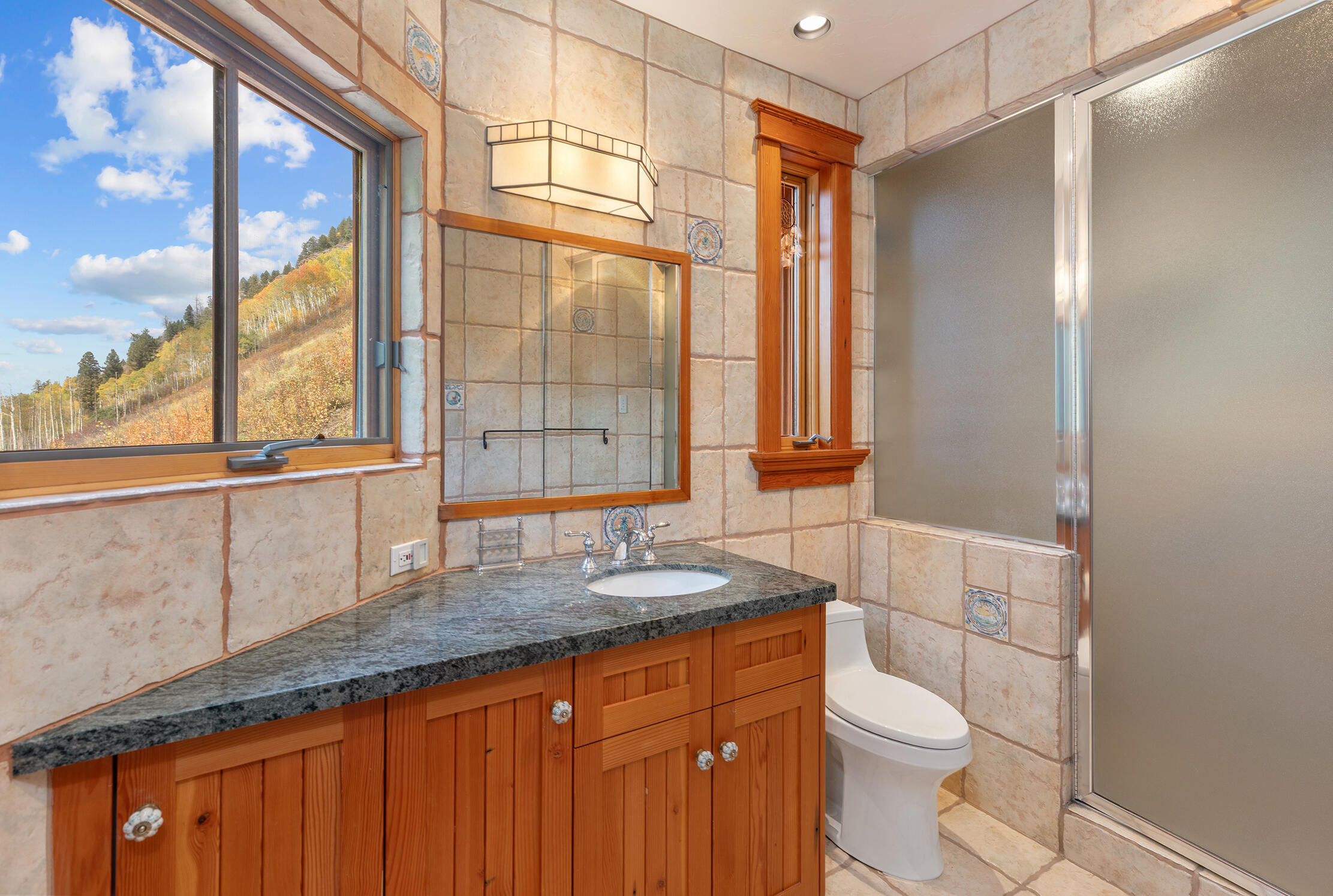 21 Royer Lane Telluride, CO 81435 - Photo 36 of 44 a bathroom with a granite countertop sink toilet and shower