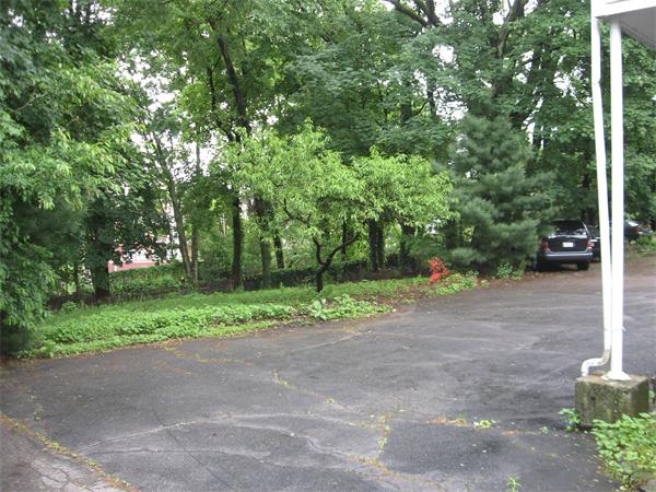 47 Algonquin Road Newton, MA 02467 - Photo 13 of 15 a view of outdoor space and yard