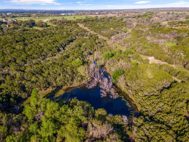 a view of a yard in a forest