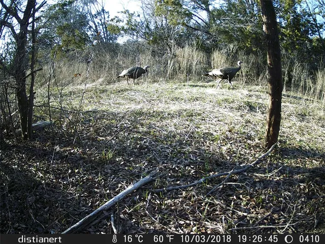 $1,200,000 | 2516 County Road 328, Glen Rose, TX 76043