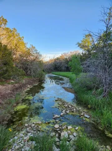 a view of a lake with lots of trees