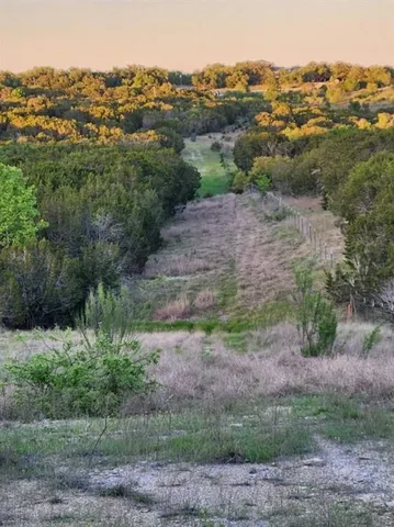 a view of a field with a tree