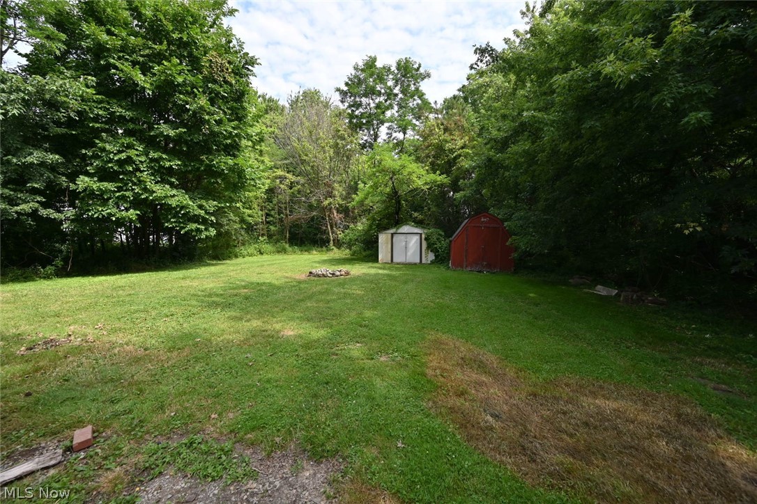 5176 West Webb Road Mineral Ridge, OH 44440 - Photo 4 of 21 Backyard