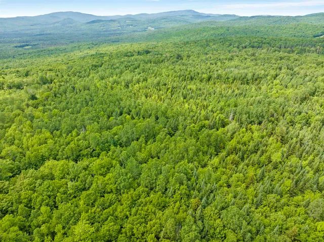 $99,900 | 0 Tug Mountain Road, Lunenburg, VT 05906