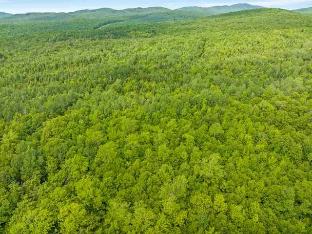 $99,900 | 0 Tug Mountain Road, Lunenburg, VT 05906