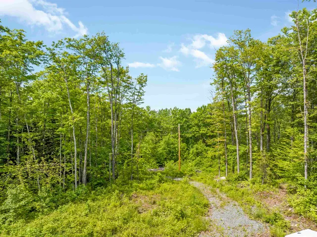 $99,900 | 0 Tug Mountain Road, Lunenburg, VT 05906