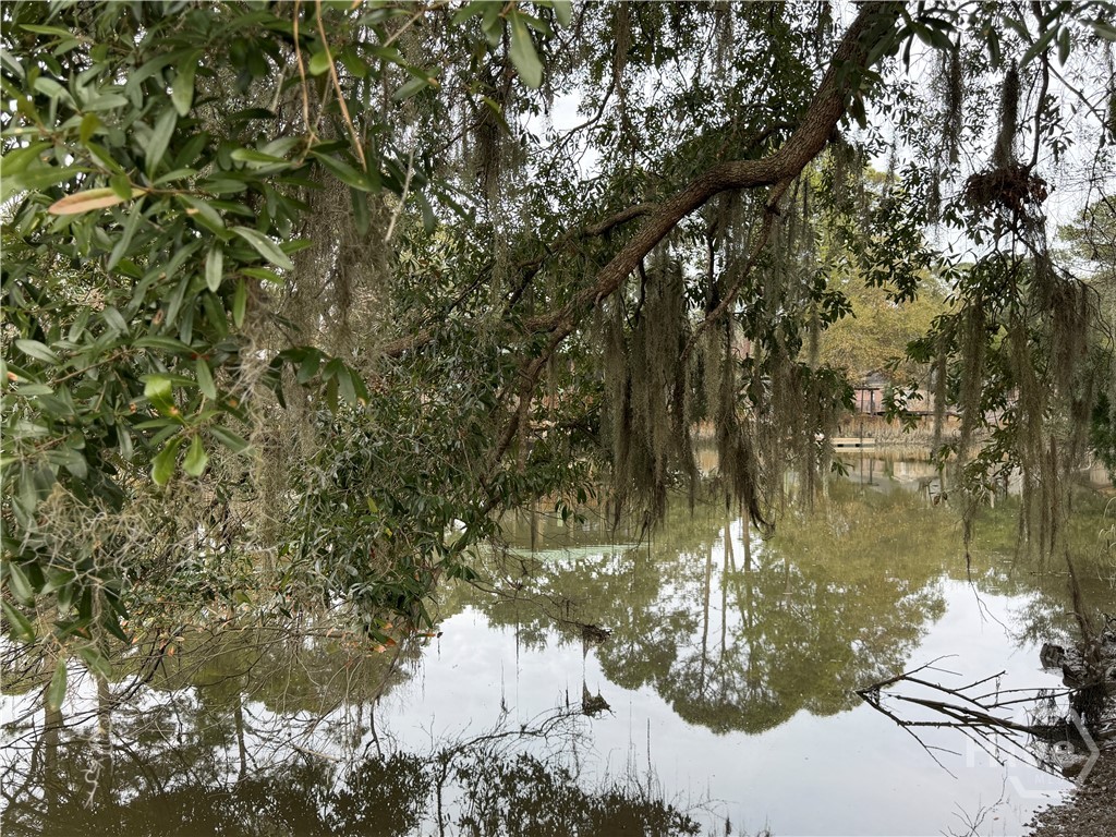 364 Island Road Savannah, GA 31406 - Photo 3 of 47