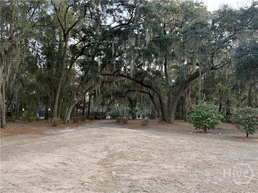 364 Island Road Savannah, GA 31406 - Photo 44 of 47