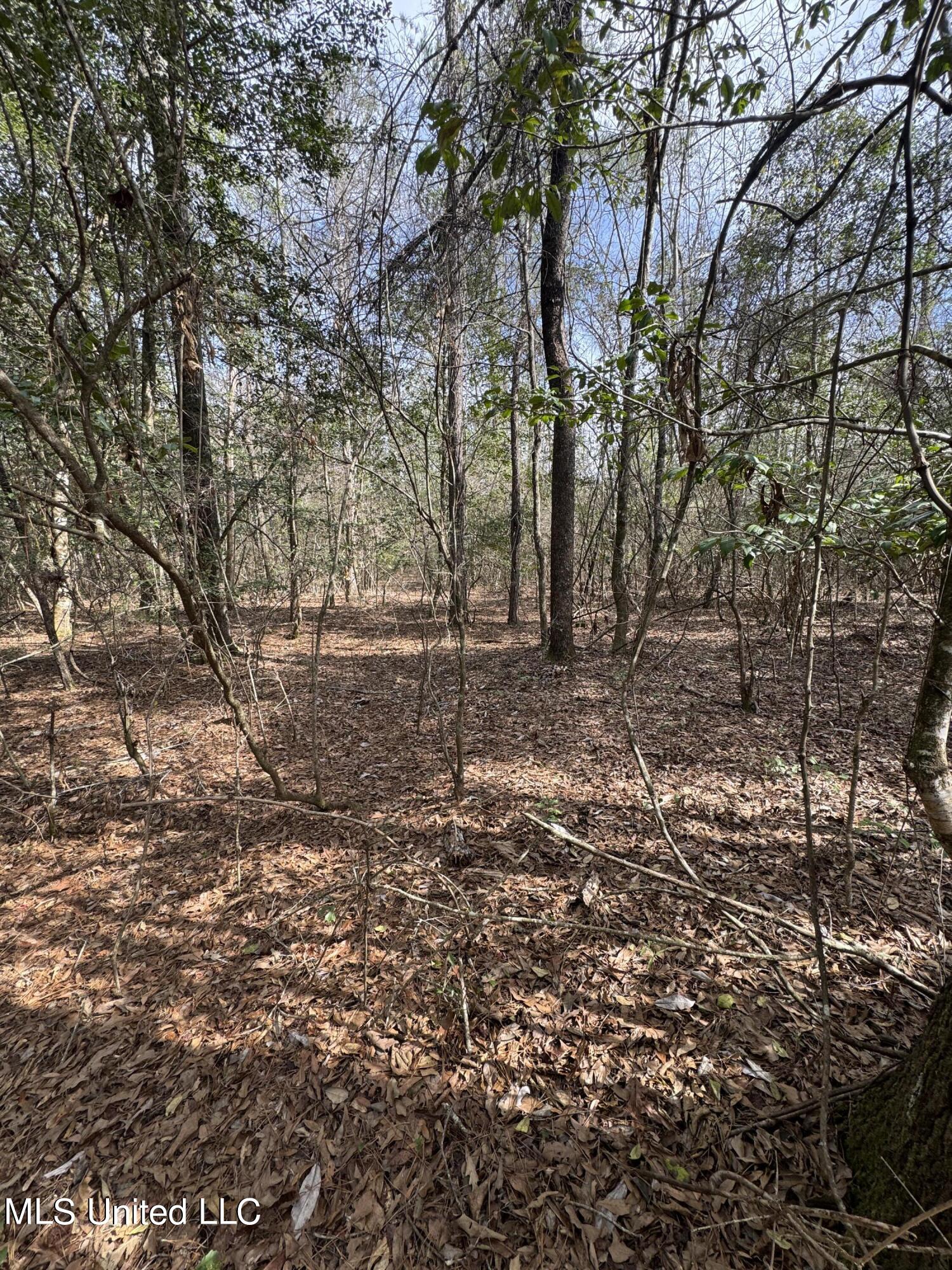 Burnis Havard Road Perkinston, MS 39573 - Photo 8 of 33 IMG_5527