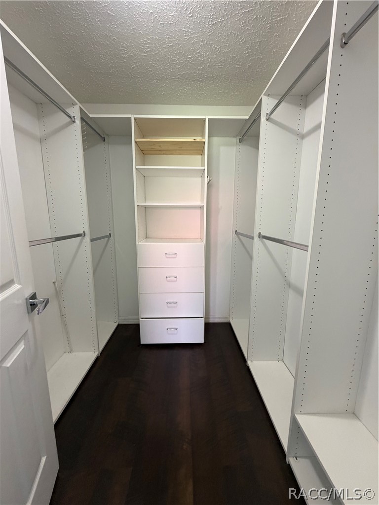 2080 Forest Drive Inverness, FL 34453 - Photo 23 of 37 Primary closet with Built ins