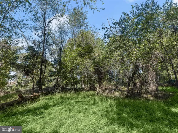 $210,000 | 2669 Roxbury Mls Road, Glenwood, MD 21738