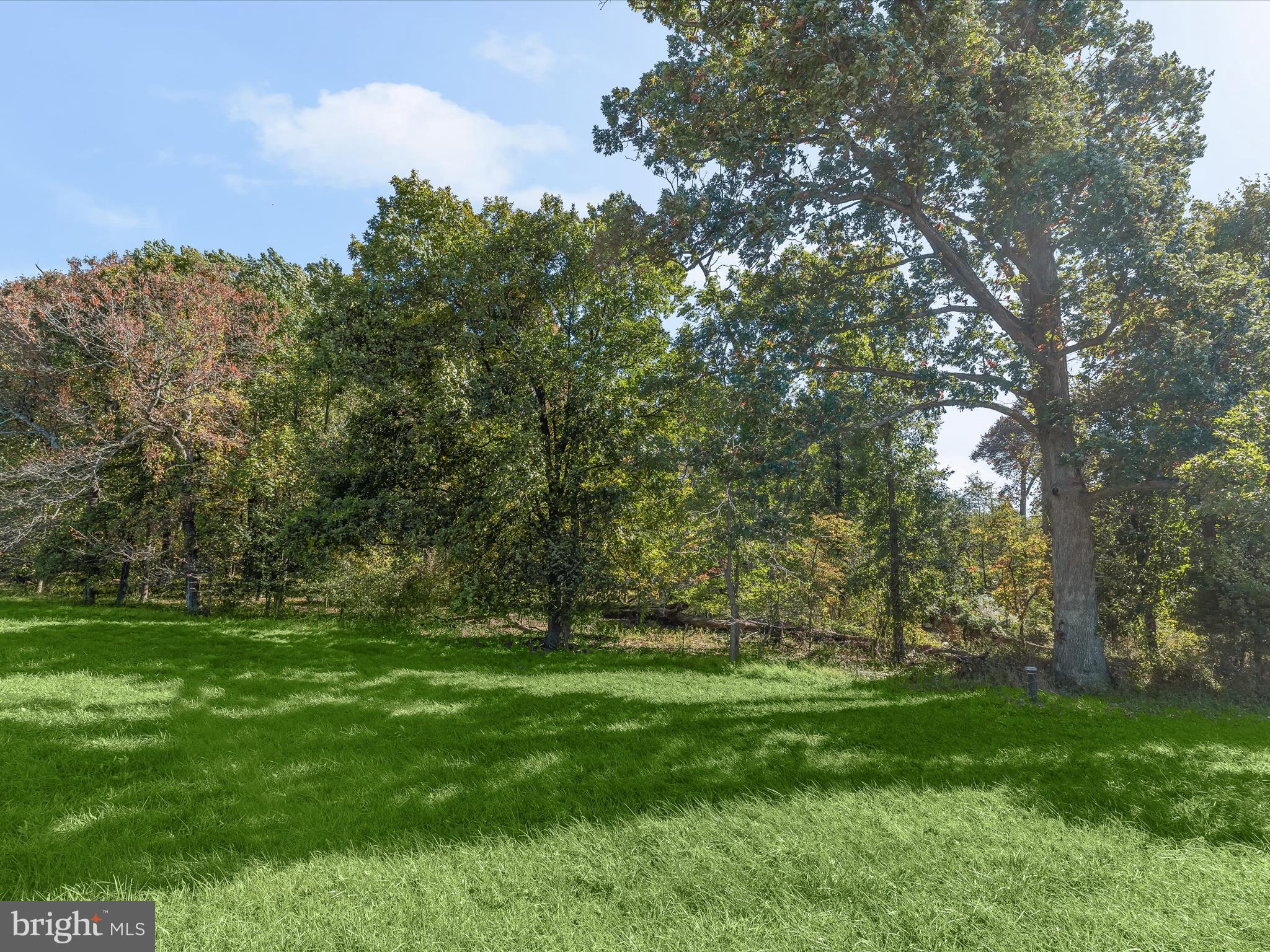 2669 Roxbury Mls Road Glenwood, MD 21738 - Photo 11 of 20 route97009