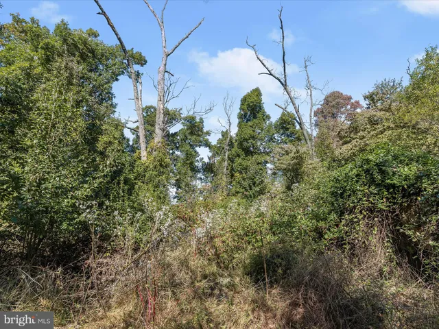 $210,000 | 2669 Roxbury Mls Road, Glenwood, MD 21738