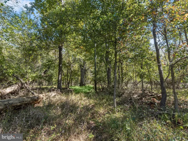 $210,000 | 2669 Roxbury Mls Road, Glenwood, MD 21738