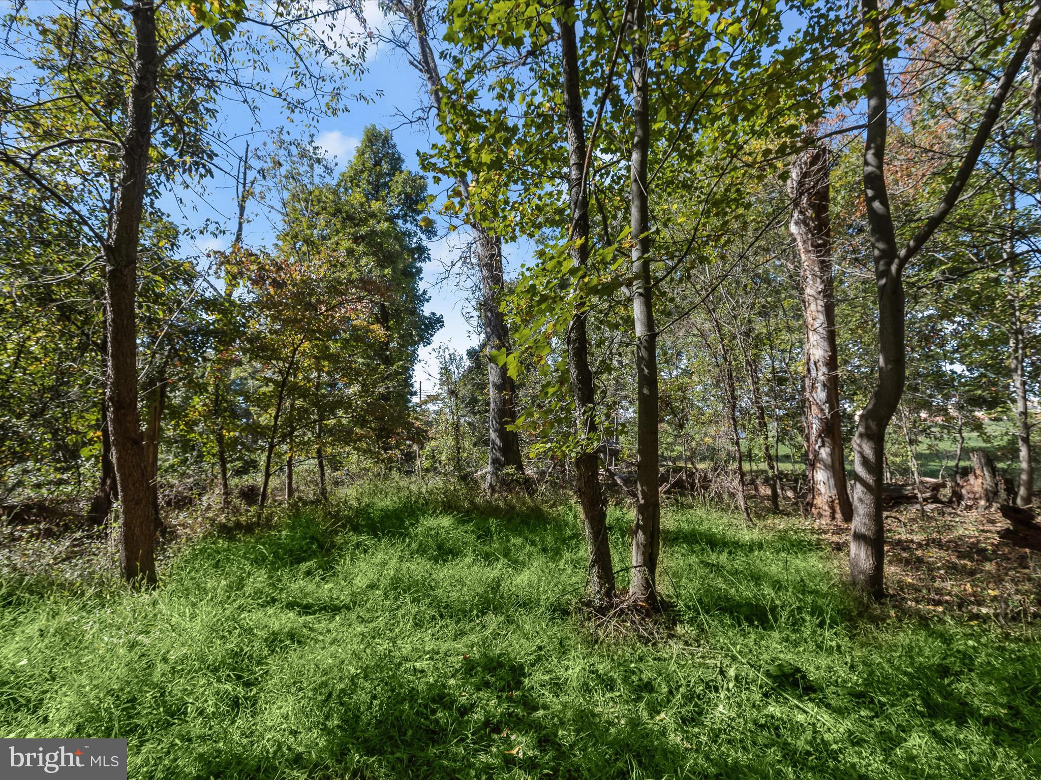 2669 Roxbury Mls Road Glenwood, MD 21738 - Photo 7 of 20 route97007